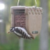 Recycled Shelled Peanut Feeder 1 Recycled Shelled Peanut Feeder -Bird Products Store ACORNwWoodpecker