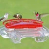 Jewel Box Window Hummingbird Feeder -Bird Products Store ASP lrg 407 7e9f35c2 9fe6 4db7 aa2a c42e1fcc789a