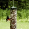 Shelled Peanut Feeder 1 Shelled Peanut Feeder -Bird Products Store BC XPN77 3788e4e0 7743 4587 a345 99626cc5daf6
