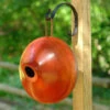 Ellipse Wooden Birdhouse- 3 Colors -Bird Products Store BYR ellipse