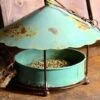 Birdie Buffet Rustic Hanging Feeder -Bird Products Store Birdie Buffet