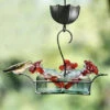 Bouquet Classic Hummingbird Feeder -Bird Products Store Bouquet 3 Clear