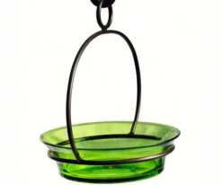 Glass Globe Dish Feeder/Mini-Bath- Red Or Lime -Bird Products Store COURM33720001