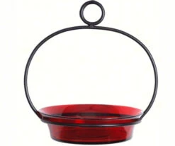 Glass Globe Dish Feeder/Mini-Bath- Red Or Lime -Bird Products Store COURM33720006