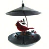 Cardinal Bistro Hanging Bird Feeder 1 Cardinal Bistro Hanging Bird Feeder -Bird Products Store Cardinal Bistro Hanging Bird Feeder