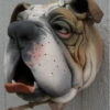 Bull Dog Ceramic Birdhouse -Bird Products Store DF 11 WM58 8cf0c26c 1f2f 46fa b6de dee16dd611dc