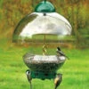 Big Top Squirrel Proof Bird Feeder -Bird Products Store DYBTG