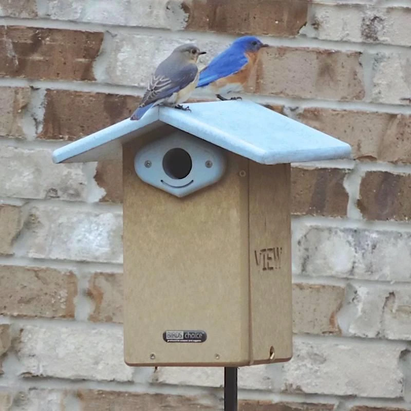 Deluxe Reycled Bluebird House-NABS Approved 3 Deluxe Reycled Bluebird House-NABS Approved