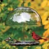 Dorothy’s Cardinal Bird Feeder 2 Dorothy’s Cardinal Bird Feeder -Bird Products Store Dorothys Cardinal Bird Feeder