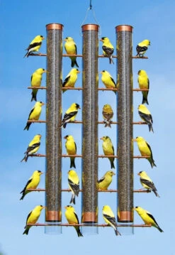 3-Tube Copper Thistle Feeder