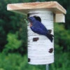 Gilbertson Nest Box - NABS Approved -Bird Products Store GILBERTSON 92558003 474a 4819 8b0d f12a17466274