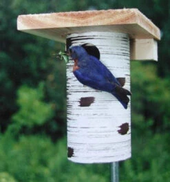 Gilbertson Nest Box - NABS Approved