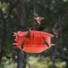 Humm-Bug Protein Hummingbird Feeder -Bird Products Store Hum Bug Protein Hummingbird Feeder