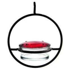 Triple Orb Glass Hummingbird Feeder -Bird Products Store Hummingbird feeder detail