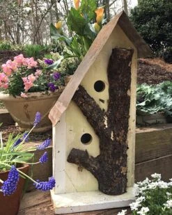 Rustic Log Front Birdhouses- 2 Sizes -Bird Products Store Log Front Birdhouse 2