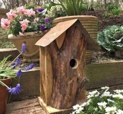 Rustic Log Front Birdhouses- 2 Sizes -Bird Products Store Log Front Birdhouse 3