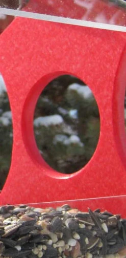 Recycled Window Bird Feeder-3 Colors -Bird Products Store NPU MED R 7db42d55 a6d0 48c0 a6b7 6fcb46e109df