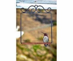 Pop's Hummingbird Swing -Bird Products Store POPSWINGBL
