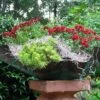 Patina Copper Planter Or Birdbath -Bird Products Store Patina Copper Planter or Bird Bath