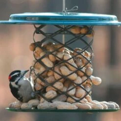 Peanut In Shell Feeder