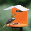 Recycled Pole Mount Oriole Feeder With Roof -Bird Products Store Pole Mount Oriole Feeder with Roof