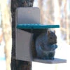 Recycled Munch Box Squirrel Feeder -Bird Products Store Recycled Munch Box Squirrel Feeder 4650f926 7a69 43b0 8e48 04c9e42deee9