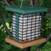 Double Suet Bird Feeder-Recycled -Bird Products Store SE525