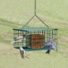 Squirrel-Proof Suet Feeder -Bird Products Store SE6000 1