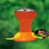 Large Capacity Oriole Bird Feeders -Bird Products Store SEBCO230 1