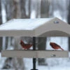 Recycled Pole Topper & Weather Guard -Bird Products Store SNPT