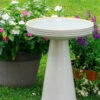 Simple Elegance Pedestal Bird Bath- 4 Colors 1 Simple Elegance Pedestal Bird Bath- 4 Colors -Bird Products Store Simple Elegance Birdbath White