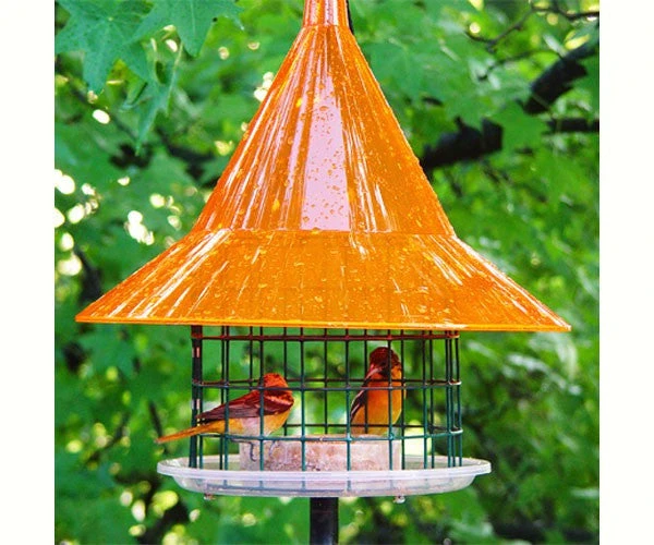 Sky Cafe Oriole Feeder 3 Sky Cafe Oriole Feeder