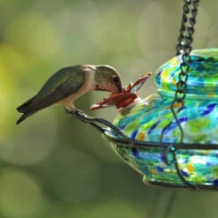 Solar Glass Hummingbird Feeder With Perch -Bird Products Store Solar Hummingbird Feeder Detail