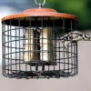 Squirrel Proof Double Suet Feeder -Bird Products Store Squirrel Proof Suet Feeder