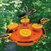 Ultimate Oriole Feeder -Bird Products Store Ultimate Oriole Feeder