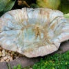 Large Ground Bird Bath- Organic Patina -Bird Products Store VG patina stone ground bath