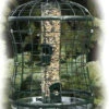 Caged Squirrel Proof Bird Feeder W/ Tray 2 Caged Squirrel Proof Bird Feeder W/ Tray -Bird Products Store WLTUBE10new