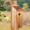 Wine Crate Birdhouse -Bird Products Store Wine Crate Gift Birdhouse