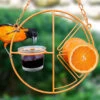 Clementine Oriole Feeder -Bird Products Store clementine 2C