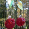Double Cherry Hummingbird Feeder