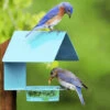 Fence-Post Bluebird Feeder- Blue Or Orange -Bird Products Store fence post bird feeder blue