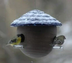 Gourd Bird Feeder -Bird Products Store gourd feeder detail