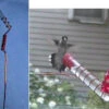 Charmer Hand-Held Hummingbird Feeder Set -Bird Products Store jpeg c233502a 4b00 42c1 99fb 4dba92d2fac4