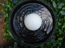 Water Wiggler For Birdbaths 7 Water Wiggler For Birdbaths -Bird Products Store new wiggler 3c3b55ad cedd 4ba3 9ddc a6b502d6c4c2