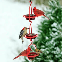 Orb Mealworm & Multi-Use Bird Feeder -Bird Products Store orb bird feeder 3 shown