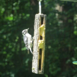 Suet Sandwich Bird Feeder -Bird Products Store recycled suet feeder