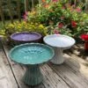 Short Ceramic Pedestal Bird Bath -Bird Products Store short ceramic pedestal bird bath
