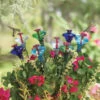 Mini-Blossom Hummingbird Feeders- Staked -Bird Products Store staked mini blossom humbird feeder