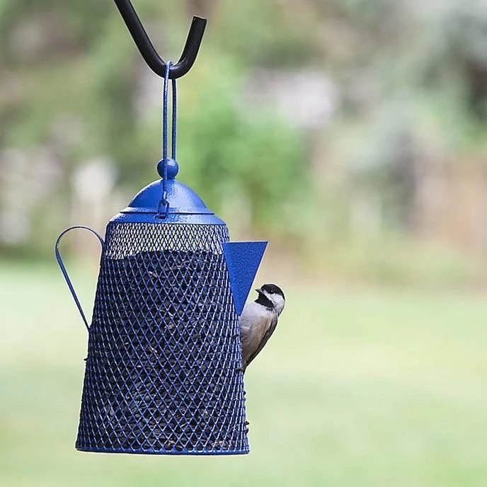 Teapot Bird Feeder- Peanuts/Sunflower 3 Teapot Bird Feeder- Peanuts/Sunflower